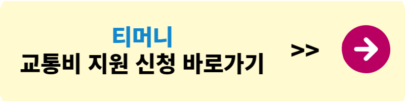 서울시 청소년 교통비 지원