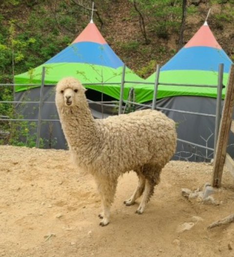 경북 구미 가볼만한곳 여행지 TOP 7곳