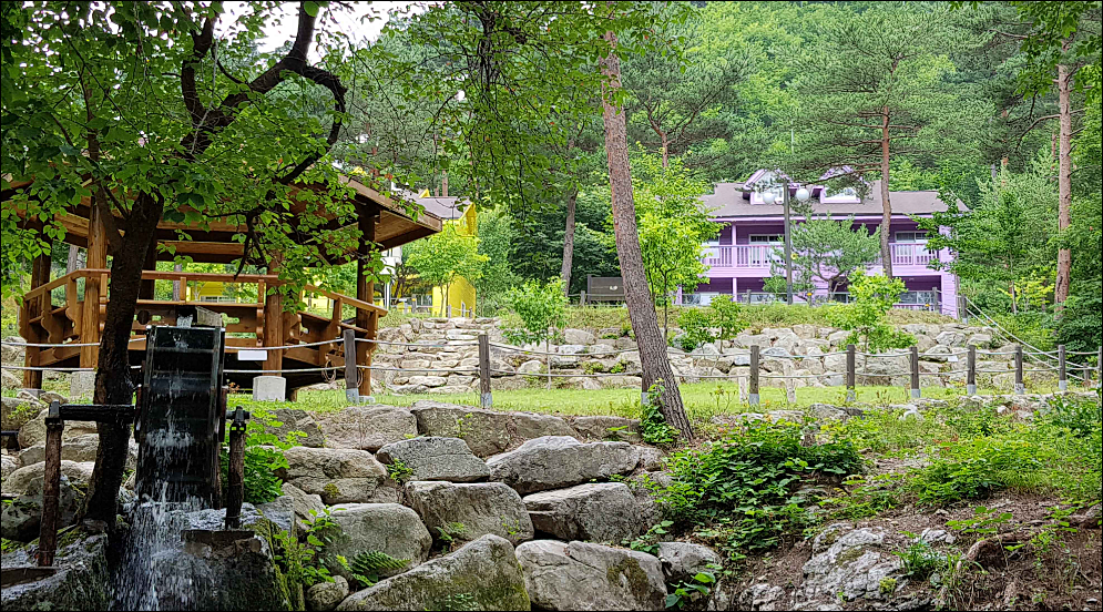 자연휴양림-경관