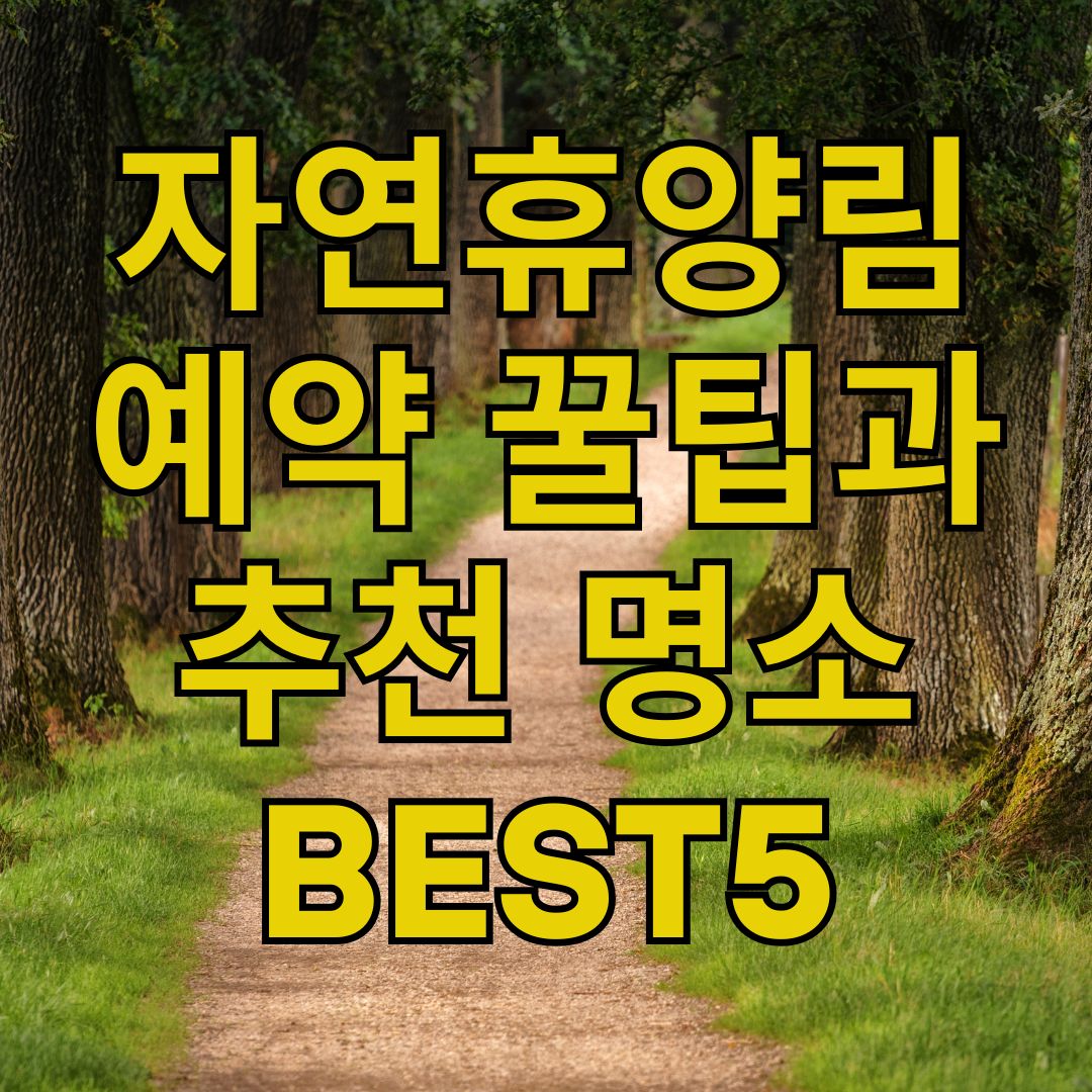 자연휴양림 예약 꿀팁과 추천 명소 BEST5