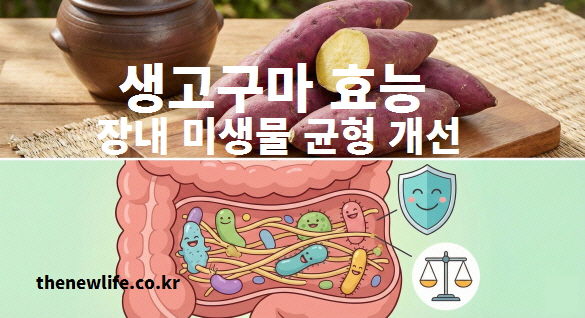 생고구마와 장내 미생물 균형을 표현한 이미지