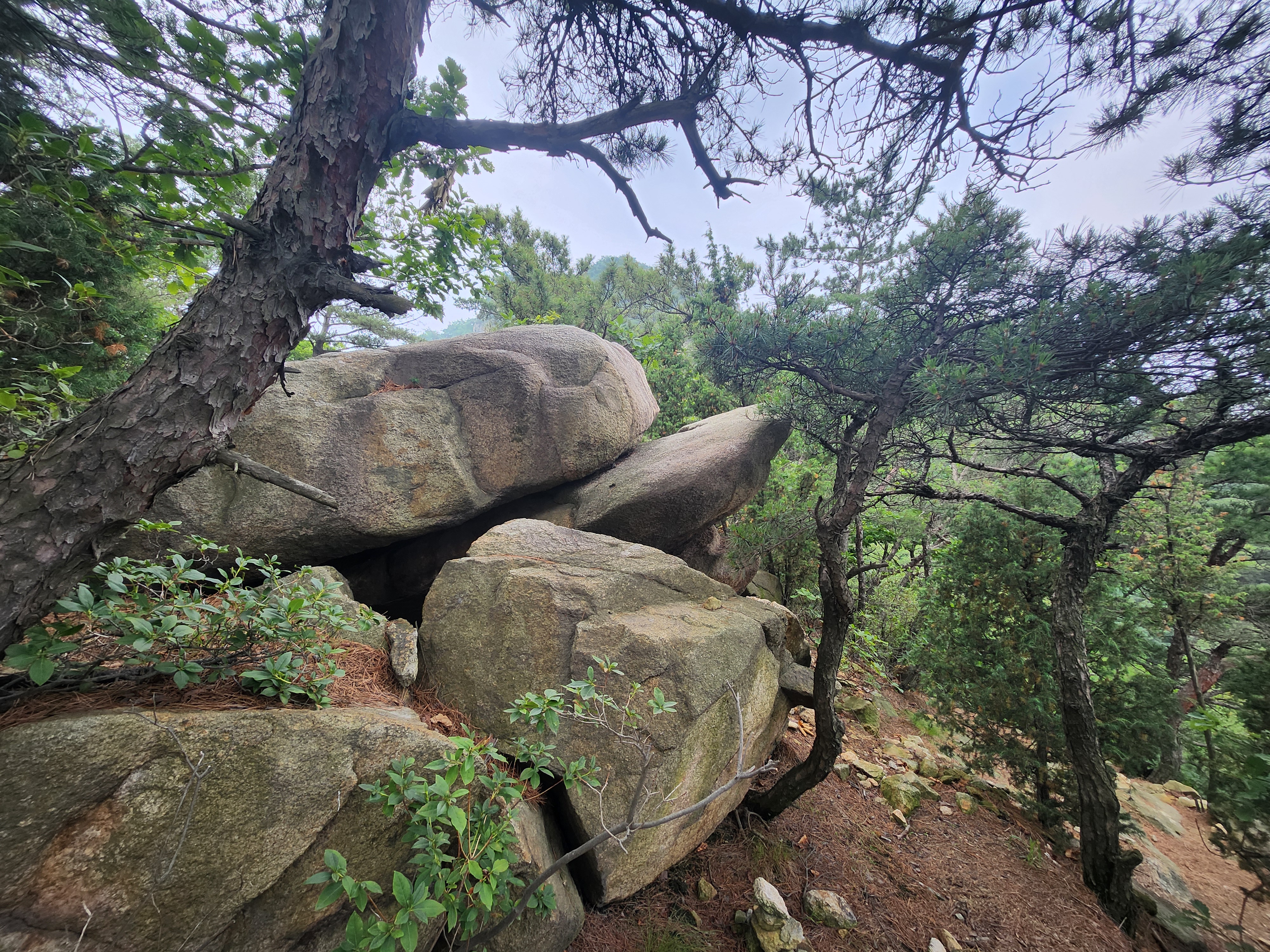 관악산 (17)