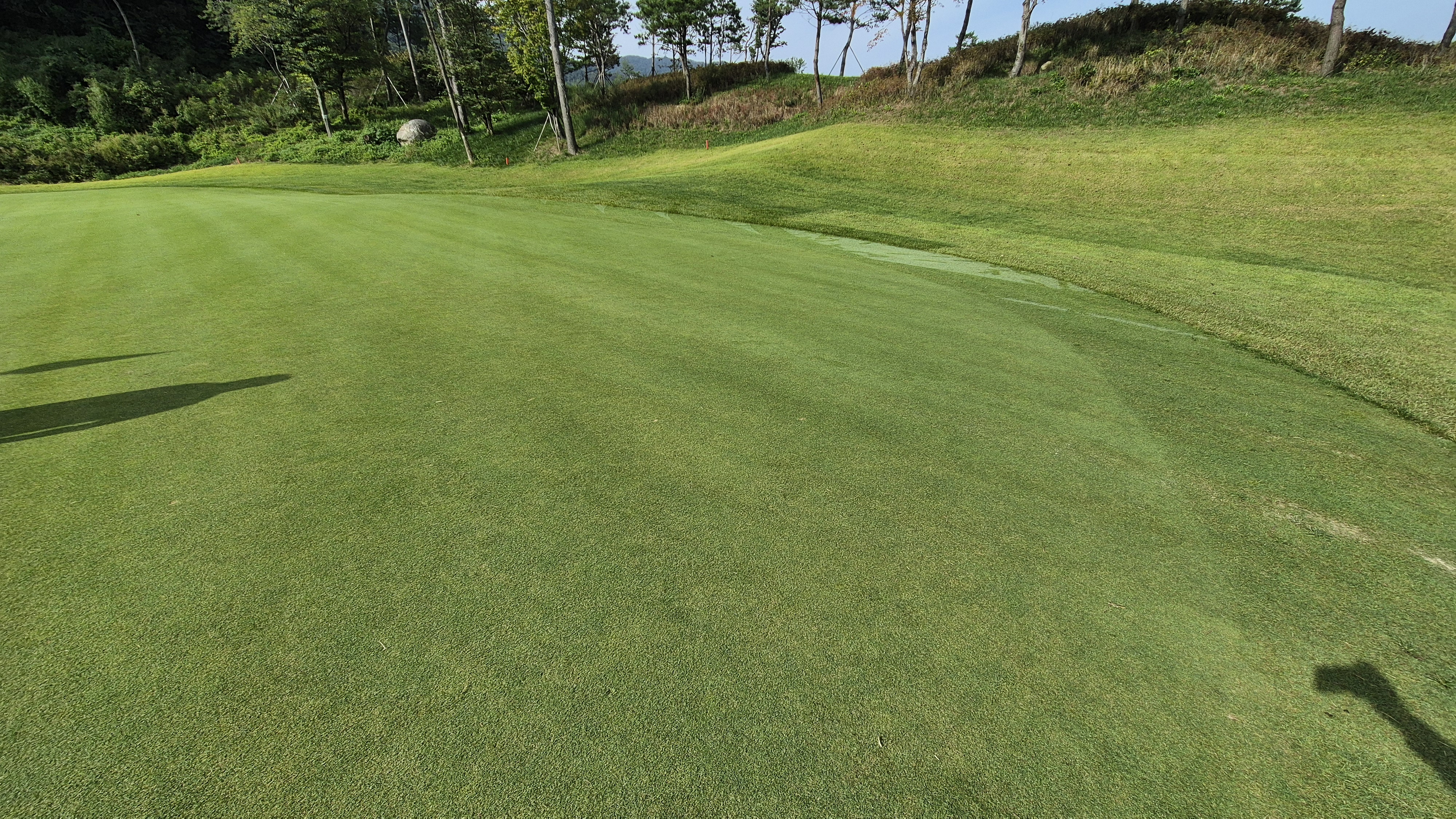 오로라cc 그린 관리 상태