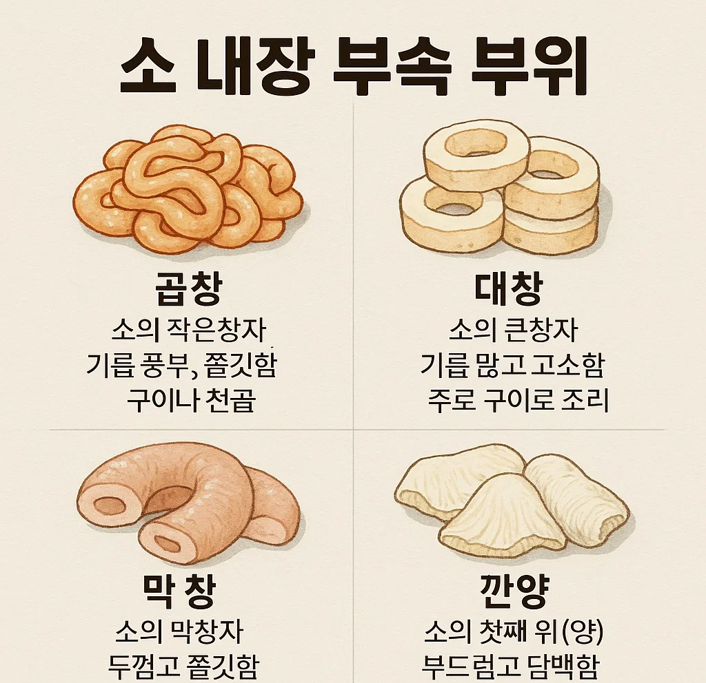 소의 대표적인 내장 부위들