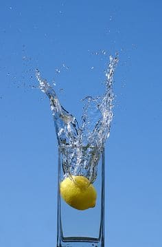 간헐적 단식 물