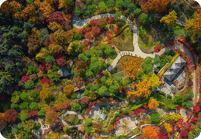 화담숲 이미지/출처: 화담숲 홈페이지