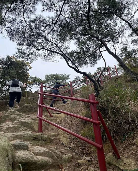 용봉산 자연휴양림