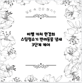 비쎌 카처 한경희 스팀청소기 반려동물 냄새 3단계 케어