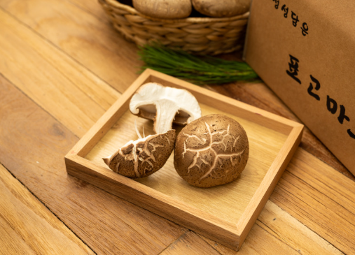 표고마루 버섯랜드