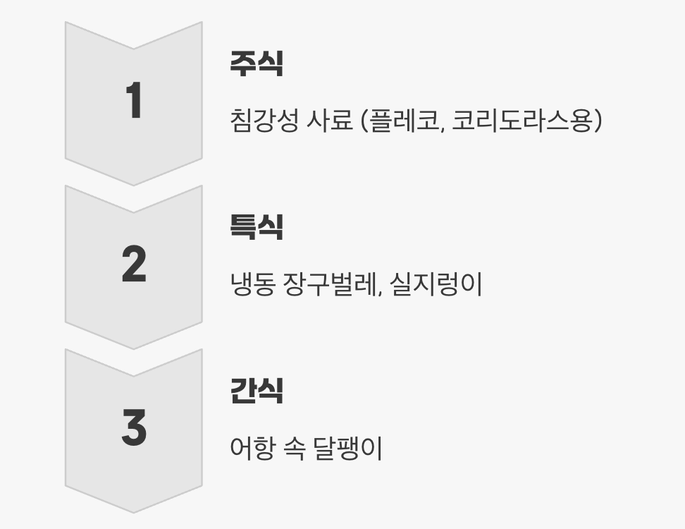 먹이 - 달팽이는 '특식'일 뿐