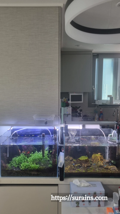 수초 어항 조명 쿠바펄 추천 트윈스타 450c 사용 후기