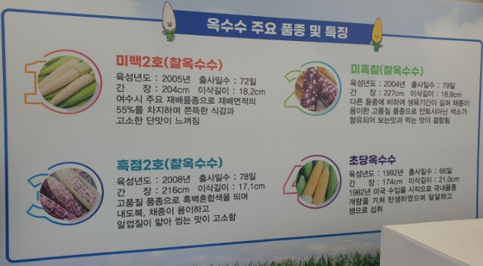 제3회 섬섬여수옥수수 페스티벌 특징