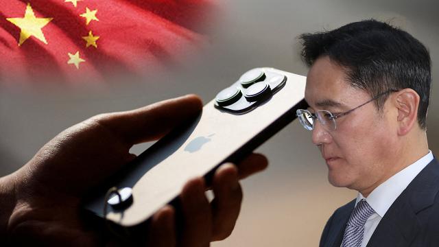 중국 애플 삼성