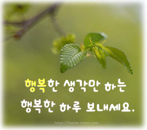 아침인사-이미지