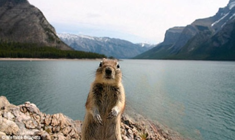 이번에는-사람들을-지워보았습니다.