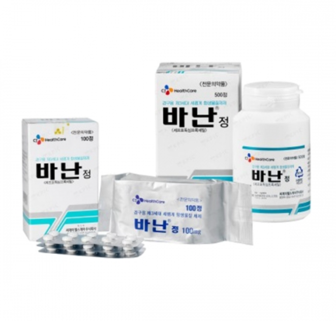 바난정