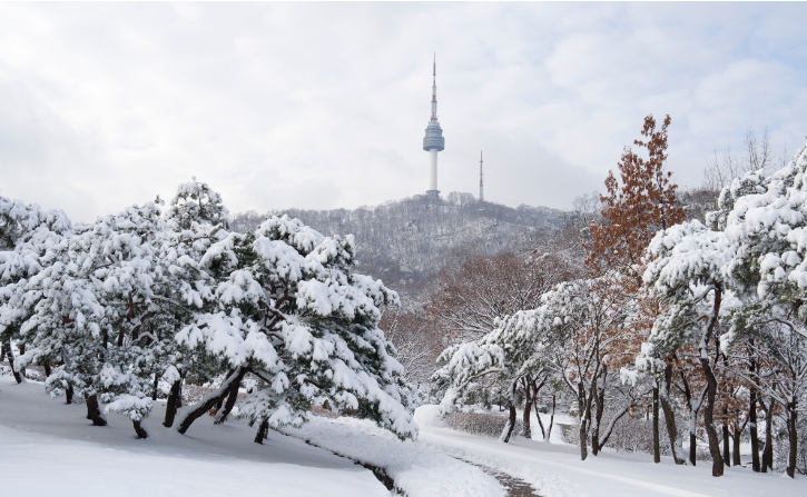 남산서울타워 (서울)