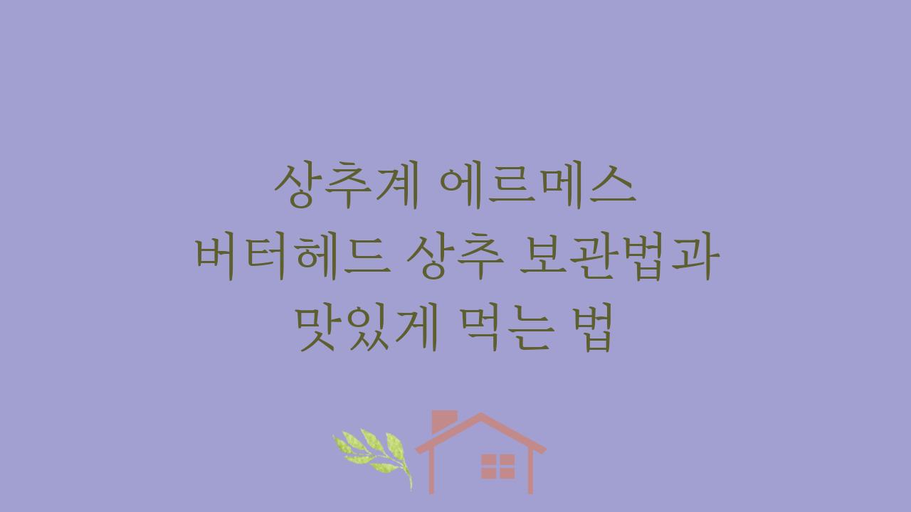 상추계 에르메스 버터헤드 상추 보관법과 맛있게 먹는 법