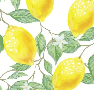 독감에 좋은 음식