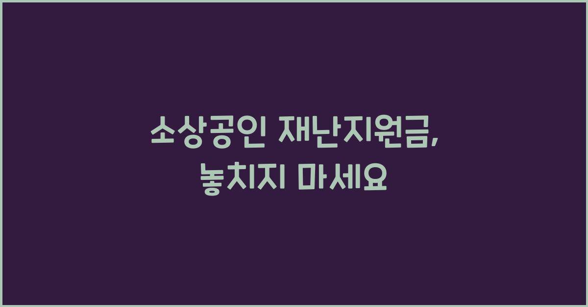 소상공인 재난지원금