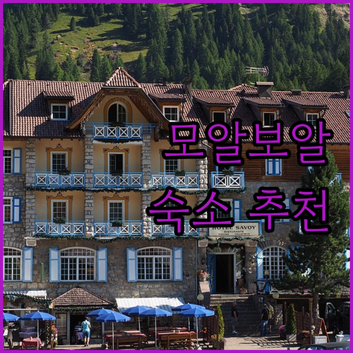 모알보알 최고의 숙소는 어디? 럭셔리..
