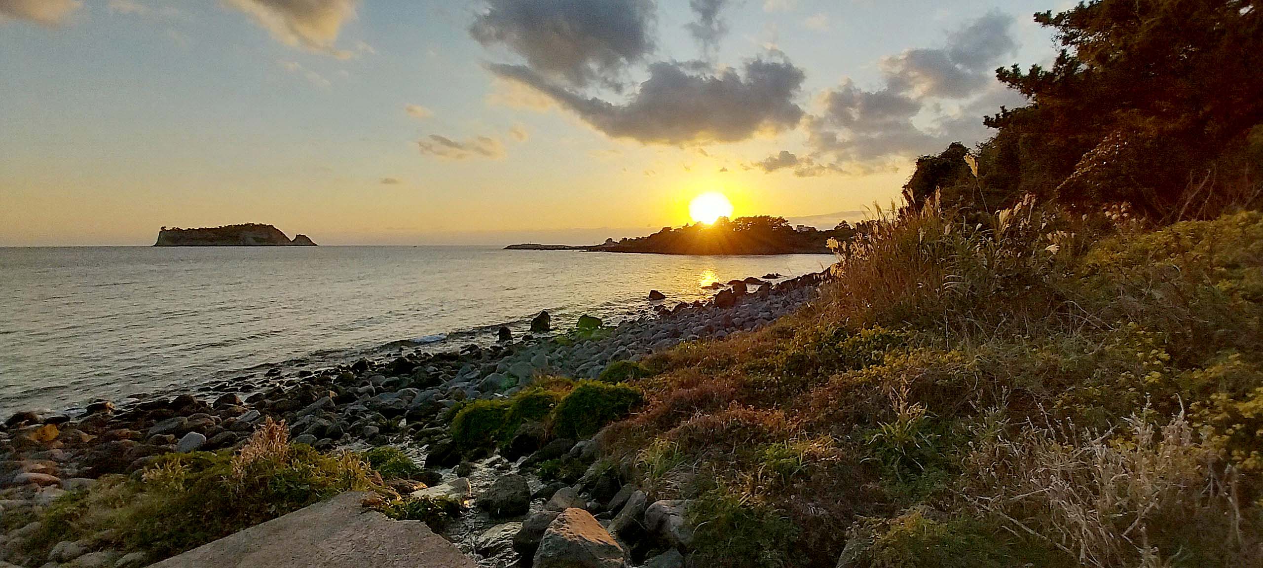 법환바다 컬러는 DIC&middot;Pantone 별색