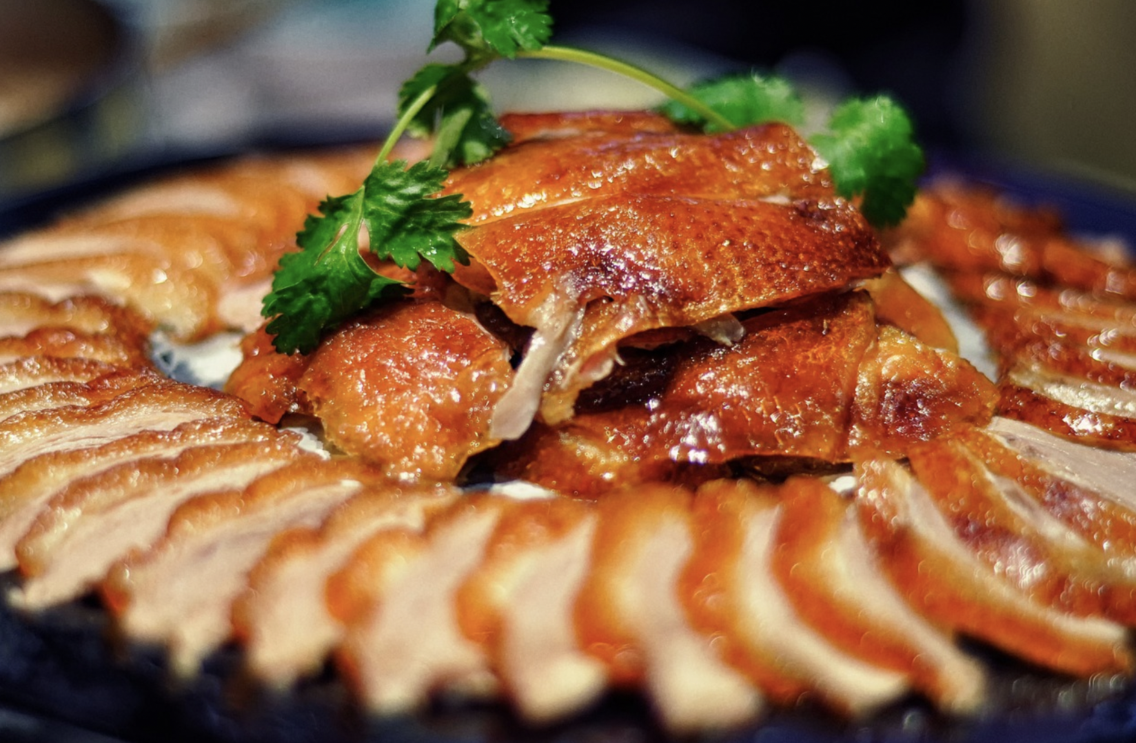 오리고기의 효능 총정리 관련 이미지