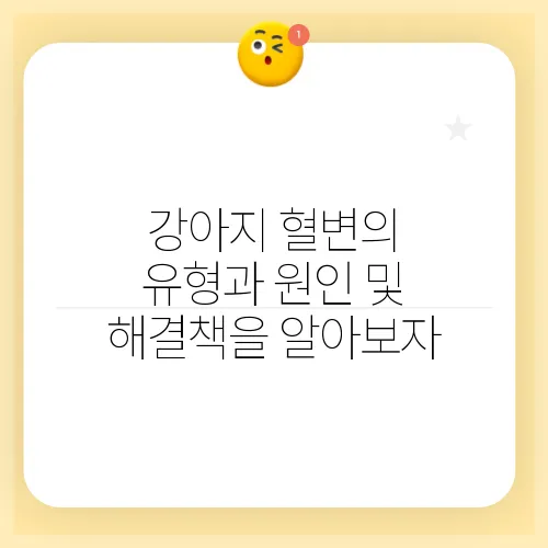 강아지 혈변의 유형과 원인 및 해결책을 알아보자