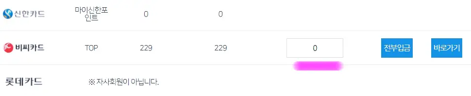 해당 칸에 원하는 포인트를 입력해 줍니다.