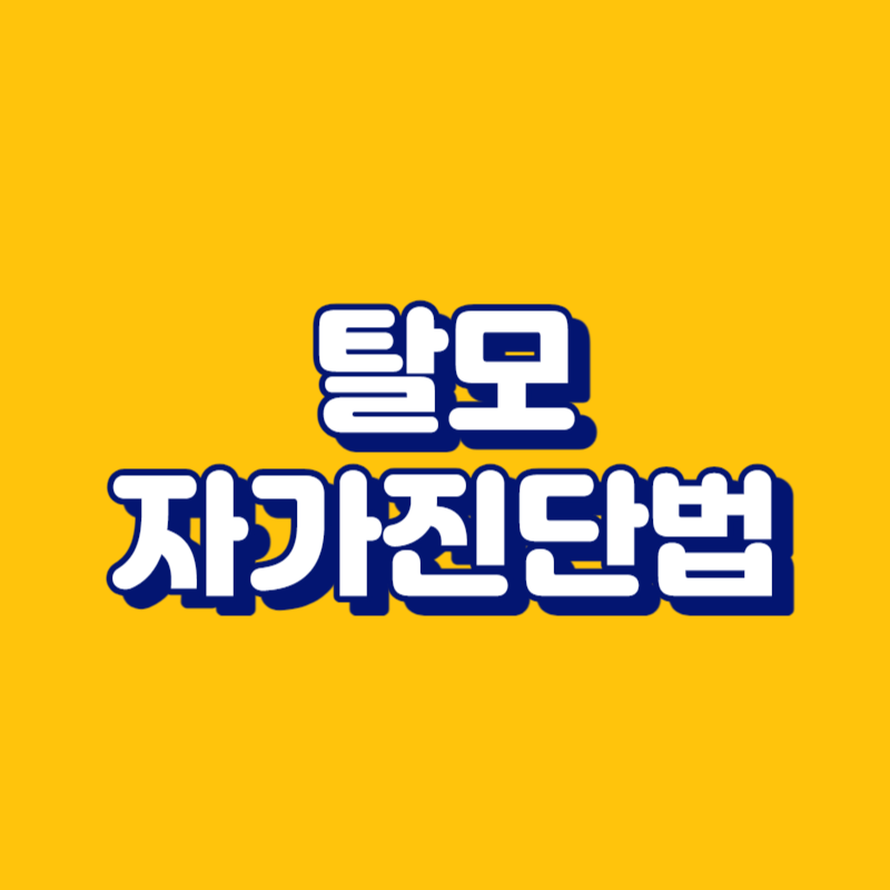 탈모 자가진단법