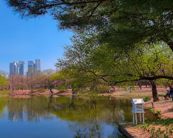 서울숲 공원 주차장2