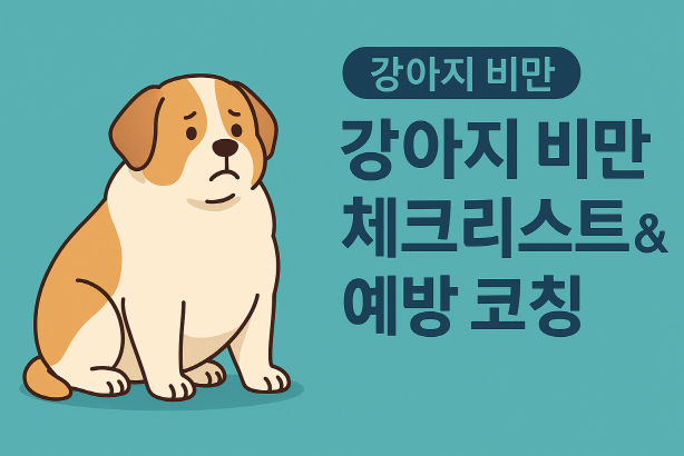 [반려견건강] 강아지 비만 체크리스트 &amp; 예방 코칭 총정리!