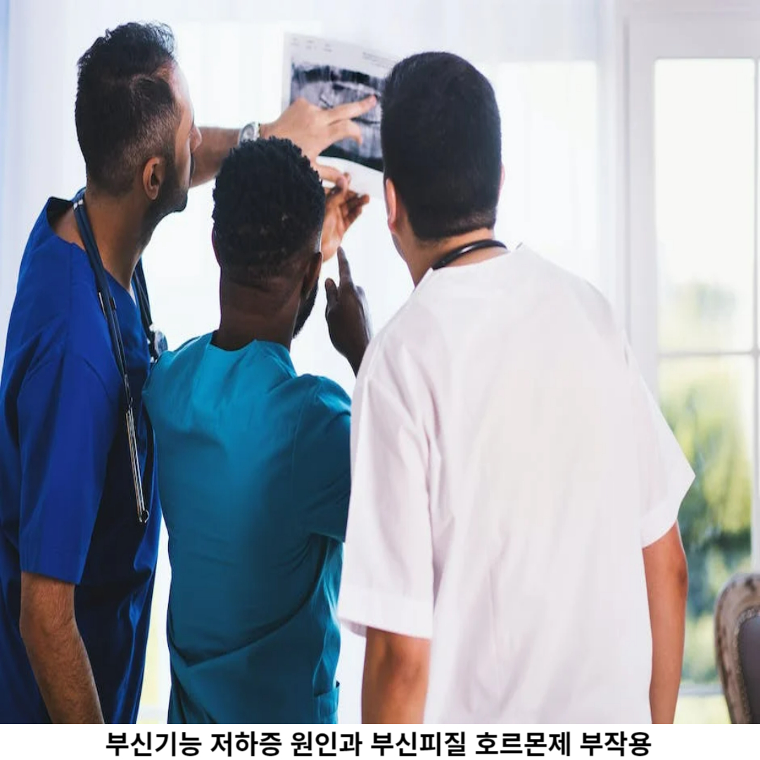 부신 기능 저하증 원인 / 증상 