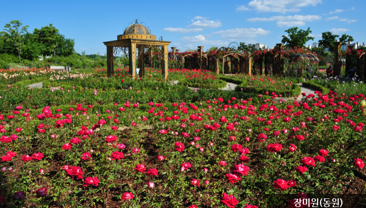 한밭수목원 명소 10선1