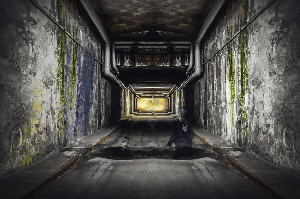 더라스트오브어스시즌2 관련 사진