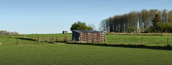 도시에서 병든 뇌를 살리는 힘: 자연의 치유력이 뇌파를 안정시키고 전두엽을 회복시키는 원리