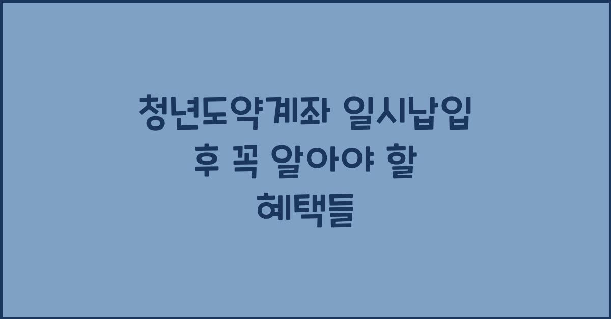 청년도약계좌 일시납입 후