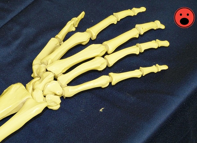 관절 통증 완화 운동