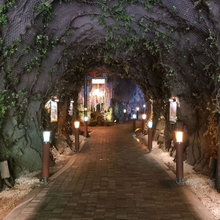 장령산자연휴양림