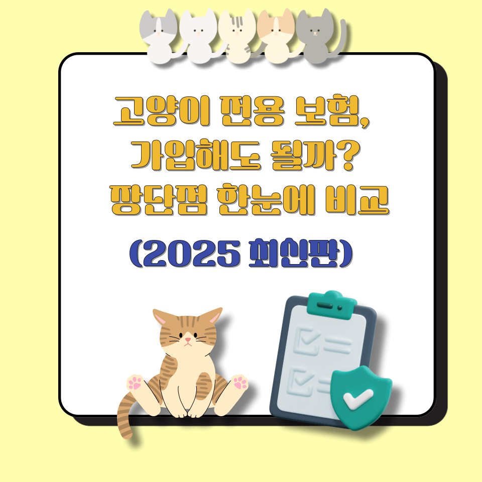 고양이 전용 보험, 가입해도 될까? 장단점 한눈에 비교(2025 최신판)