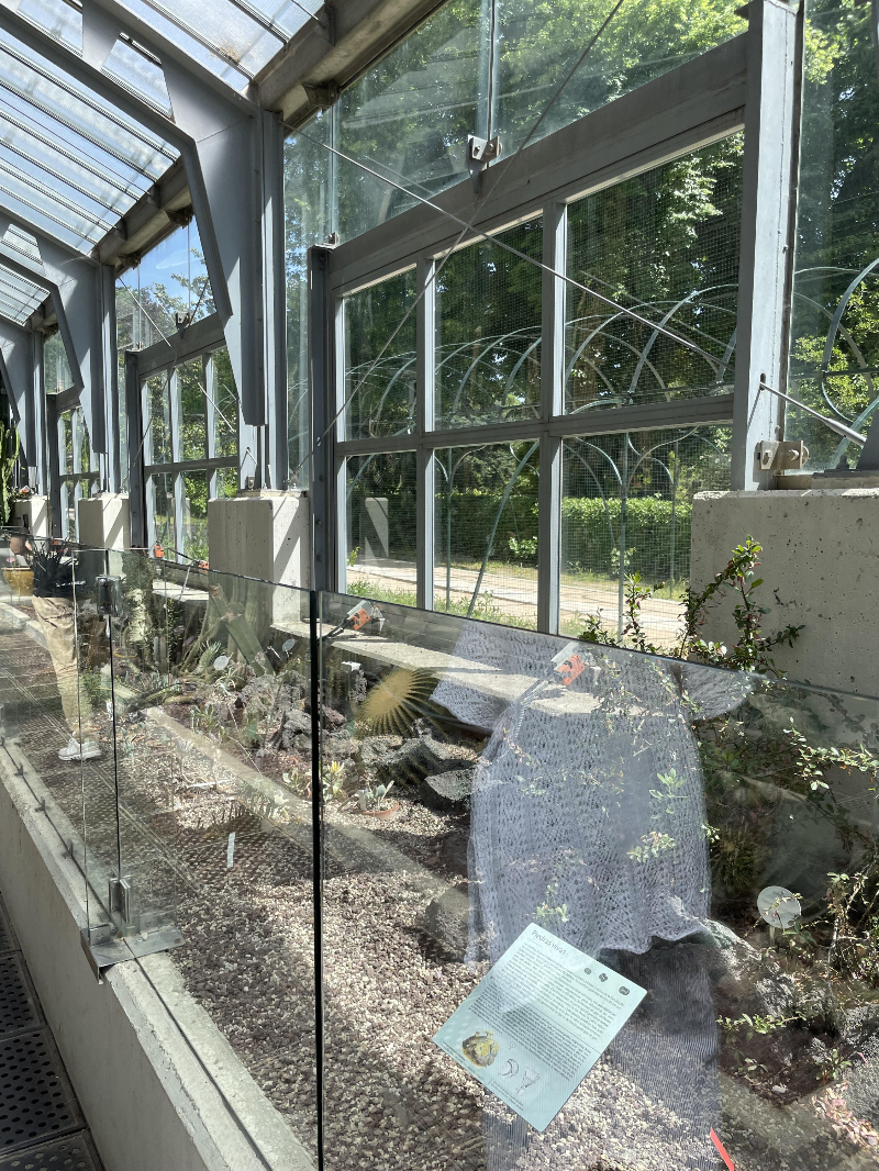 마드리드 왕립식물원 온실