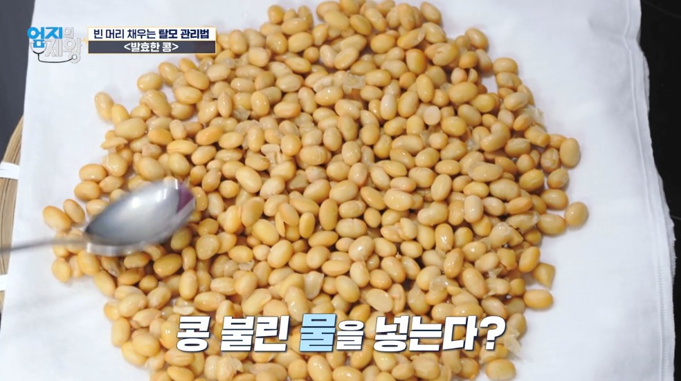 손으로 만져보는 삶은 콩