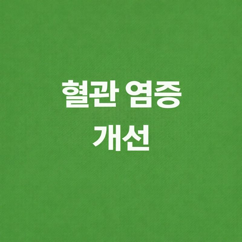 혈관 염증 완화를 위한 하루 식단