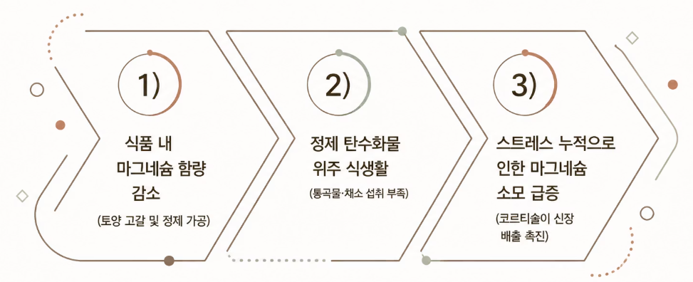 마그네슘 효능