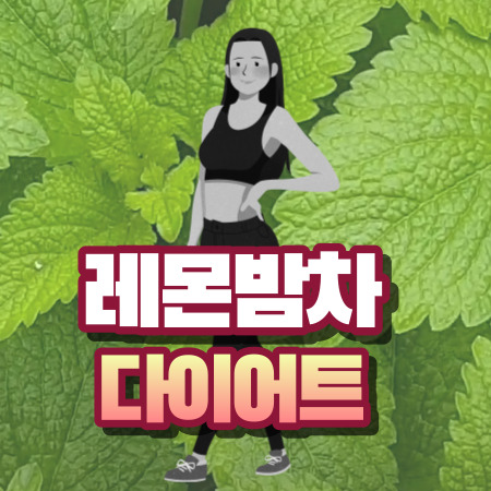 레몬밤차 다이어트