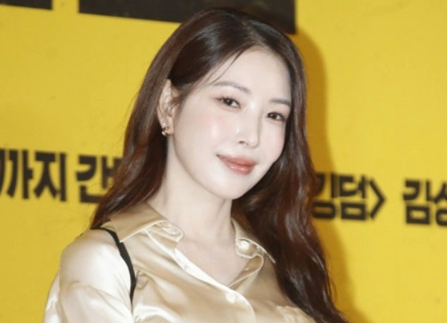 보아 은퇴 발언 이유