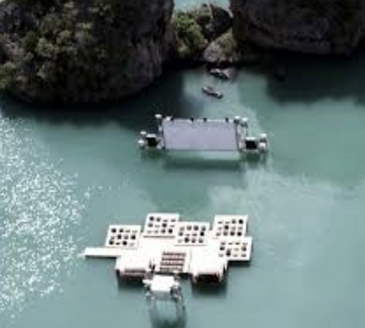 태국 플로팅 세니마 관련 사진