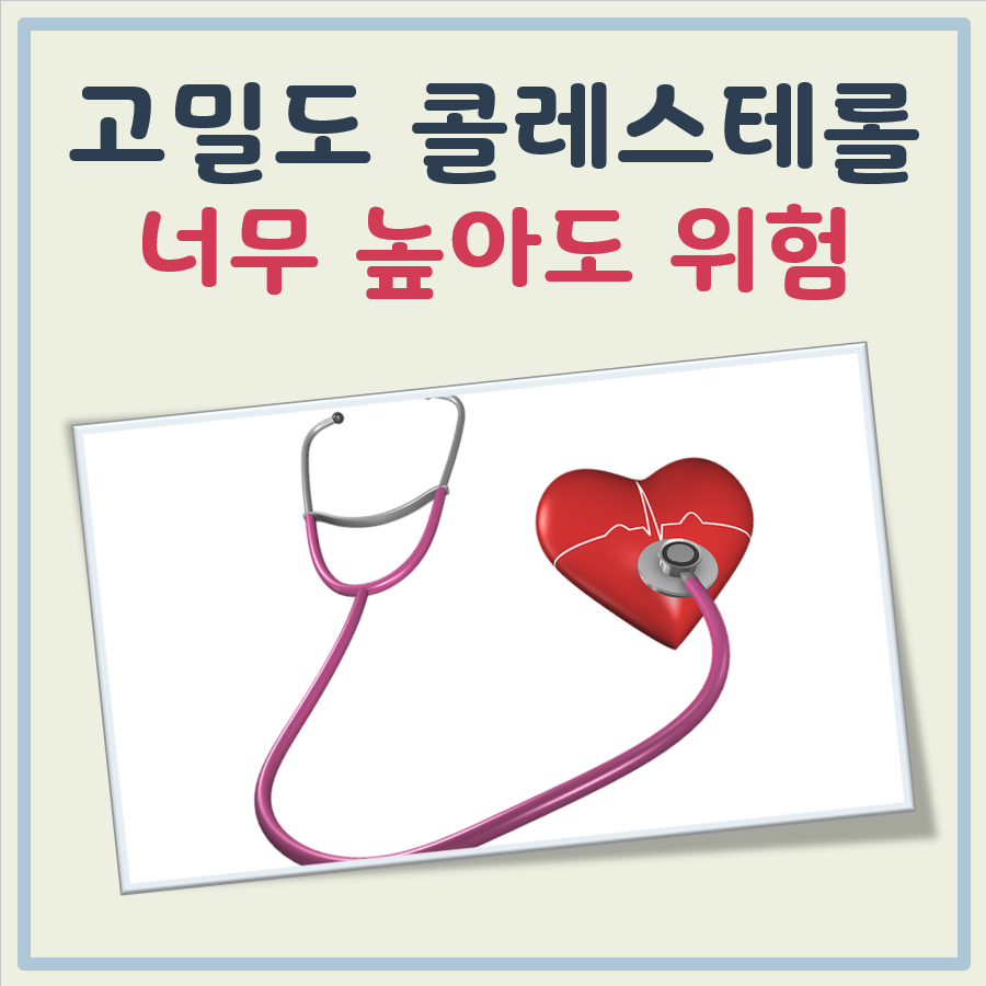 고밀도 콜레스테롤 높으면 대표 이미지