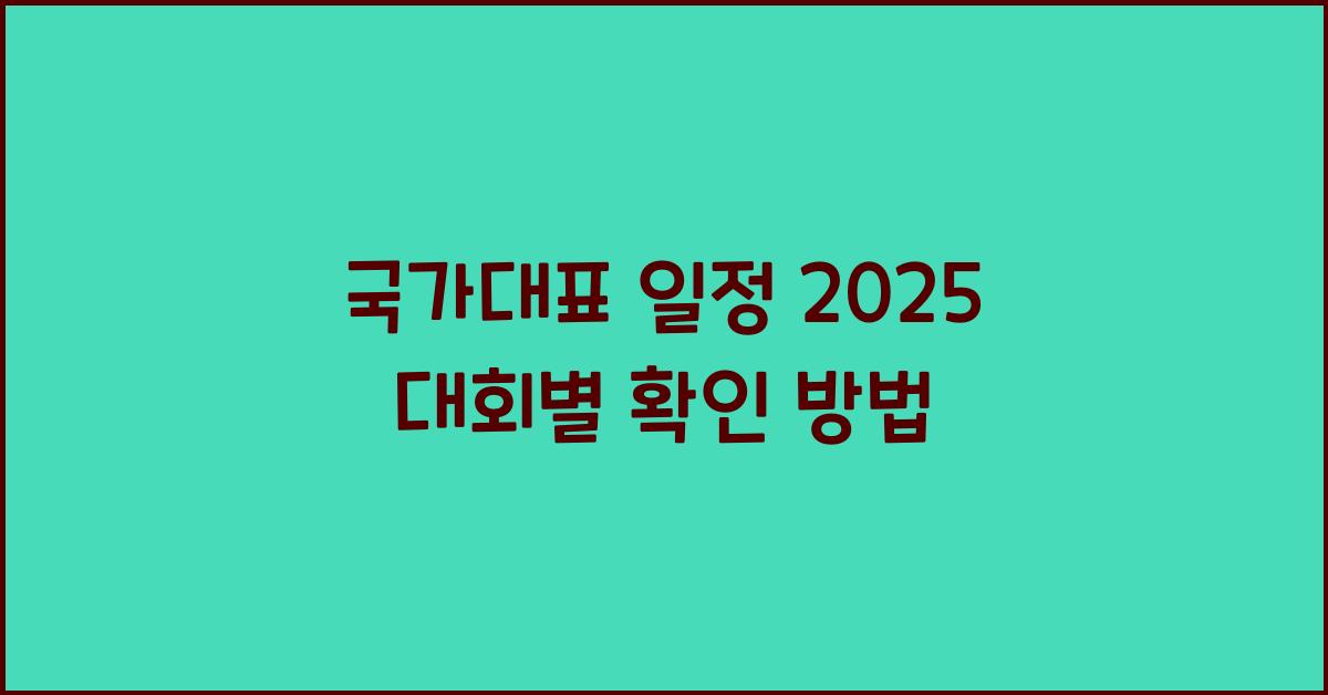 국가대표 일정