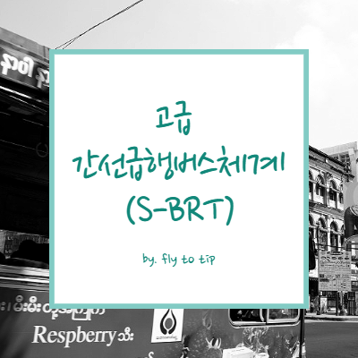고급 간선급행버스체계(S-BRT)